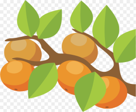 Vector Orange Tree Png Transparent Png