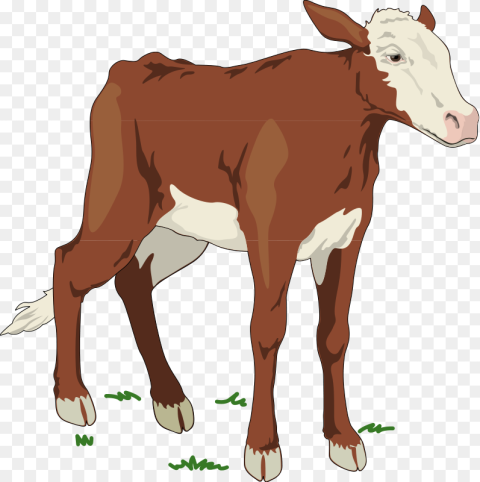 Brown and White Baby Cow Svg Clip Arts