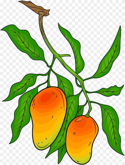 Mango Tree Illustration Hd Png Download