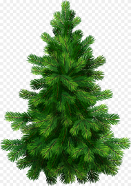 Christmas Tree Vector Png Transparent Png