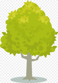 Plant Leaf Tree Png Transparent