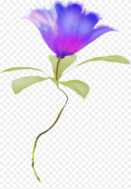 Clipart Watercolor Flowers Blue Png HD