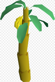 Banana Tree Hd Png Download
