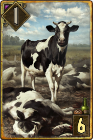 Prize Winning Cow Gwent Hd Png Download