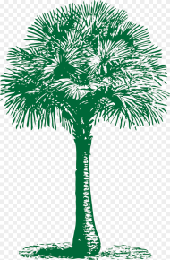 Transparent Palm Png Tree Fan Clip Art Png