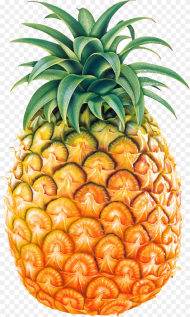 Pineapple Fruit Png Image Pineapple Png Transparent