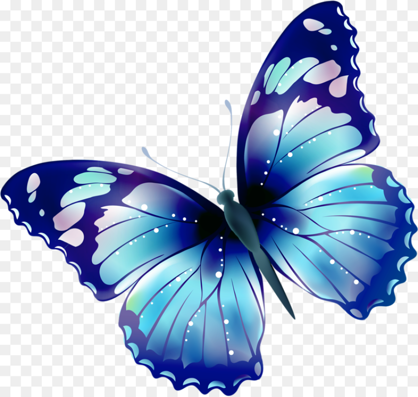 Mariposas Png Mariposas Grandes Dibujos De Blue , Free Png Image- HubPNG