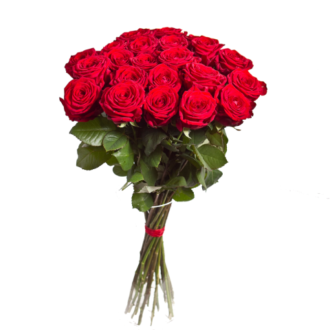 Red bouquet flowers PNG image  transparent background