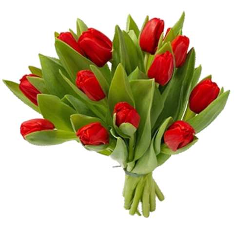 red with green Bouquet flowers PNG