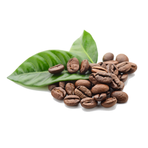 Coffee Beans clipart PNG