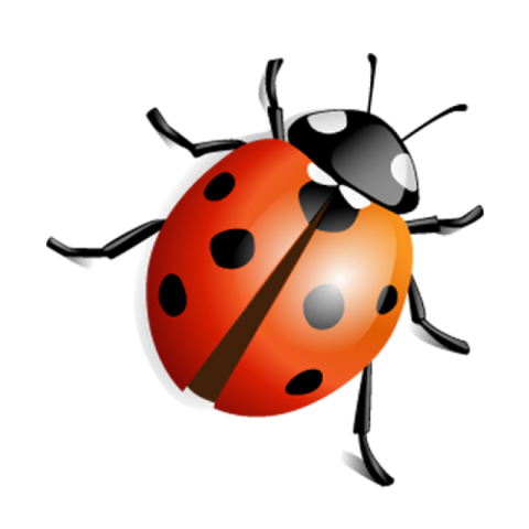 ladybug png