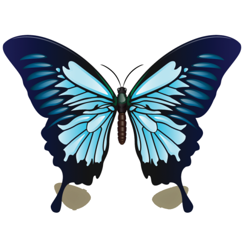 borboletas png azul