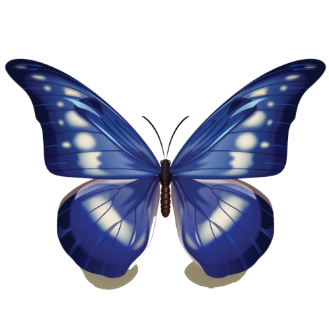 borboletas png blue color
