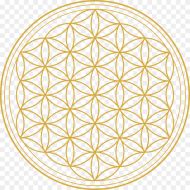Flower of Life Png Flower of Life