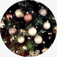 Aesthetic Background Christmas Tree Trees Light Lights Aesthetically