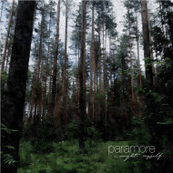 Spruce Fir Forest Hd Png Download 