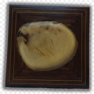 A Tree Section Picture Frame Hd Png Download