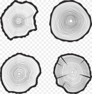 Black and White Tree Ring Hd Png Download