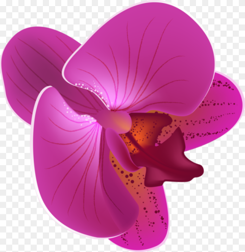Magenta Orchid Flower Png Orchid Flower Vector Png
