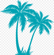 Transparent Palm Tree Plan Png Palm Tree Vector