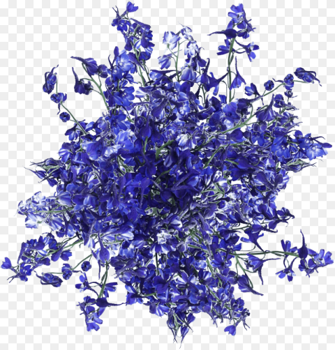 Fresh Blue Volken Delphinium Flowers Artificial Flower Hd