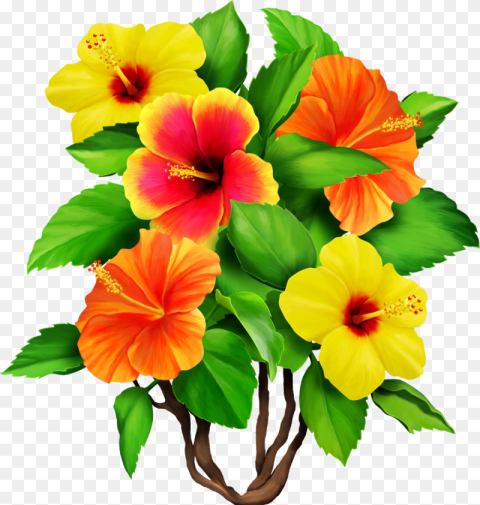 Hawaiian Aloha Tropical Tropical Flowers Png