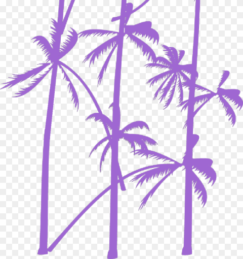Palm Tree Vector Attalea Speciosa Hd Png Download