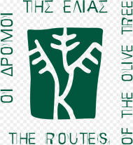 Routes of the Olive Tree Hd Png Download