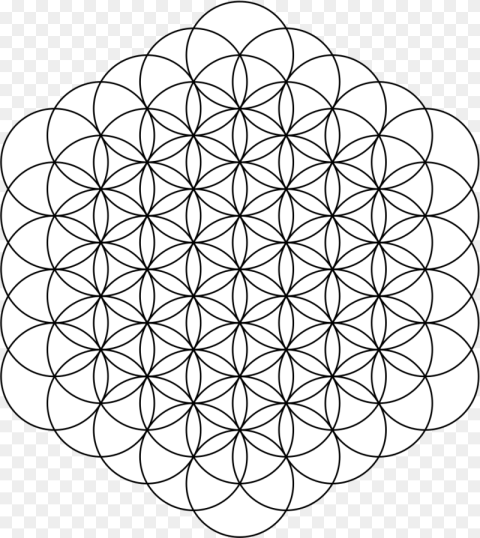 Flower of Life Circles Flower of Life Png
