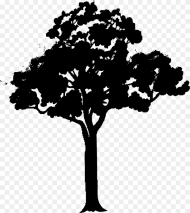 Tree Tree Vector Black Png Transparent Png