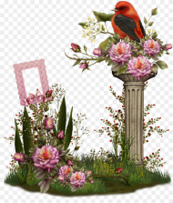 Png Clipart Birds and Flowers Border Frame
