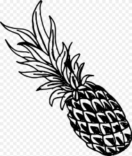 Pineapple Luau Clip Art Black and White Hd