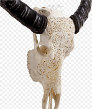 Indian Carving Buffalo Png Download Carved Cow Skull
