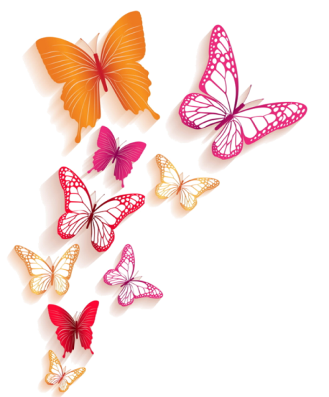 clipart butterfly png