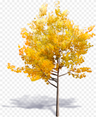Generic Autumn Tree Bim Object Tree for Revit
