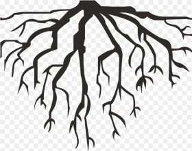 Hausarrest Deep Roots Roots Vector Png Transparent
