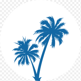 Transparent Black Palm Tree Png Coconut Tree Vector