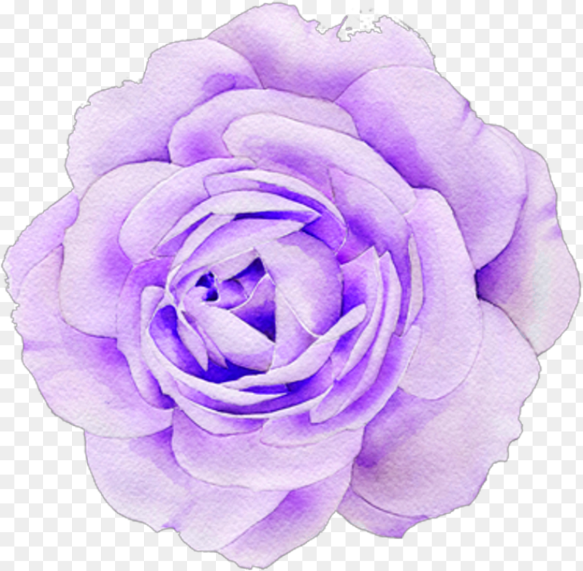 Pink Flower Png Tumblr Purple Flowers Aesthetic