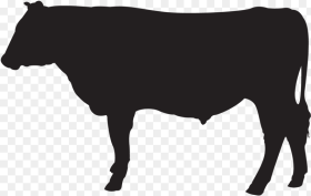 Pipeline Icons Cattle Hd Png Download