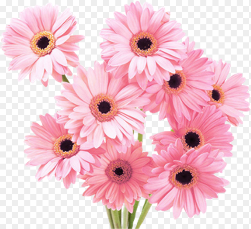 Flowers Png Tumblr Flowers Png