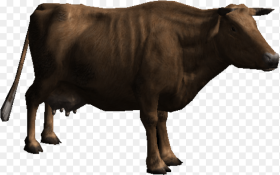 Free Png Download Cow Png Images Background Png