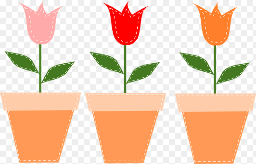 Free Png  Flower Pots Pots Tulips Flowers