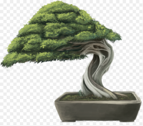 Png Black and White Download Bonsai Tree By