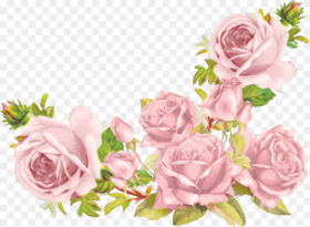 Aesthetic Flowers  Background Hd Png