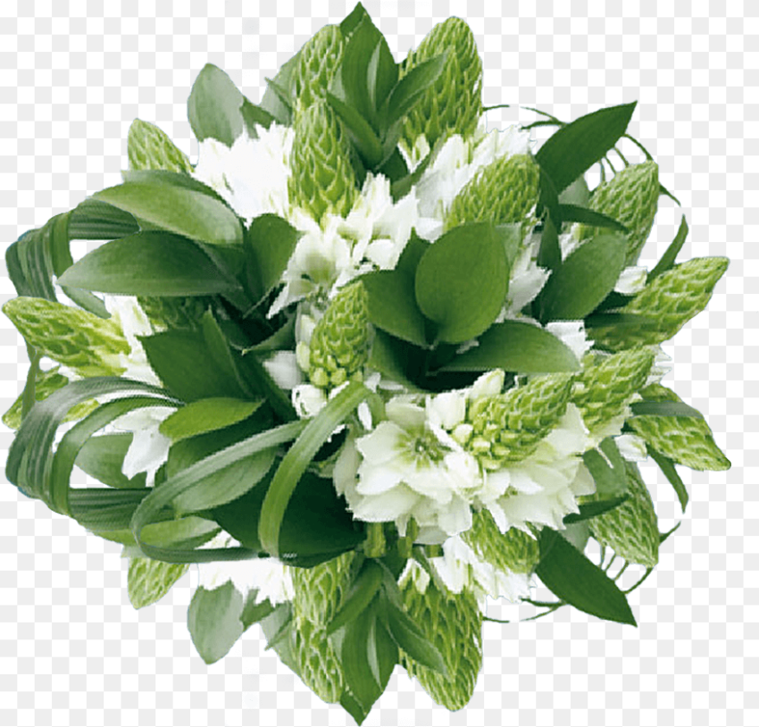 Star of Bethlehem Flower Bouquet Png