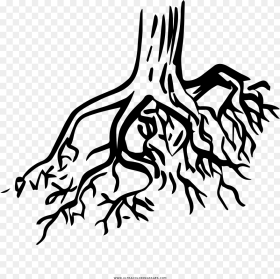Tree Roots Coloring Page Hd Png Download