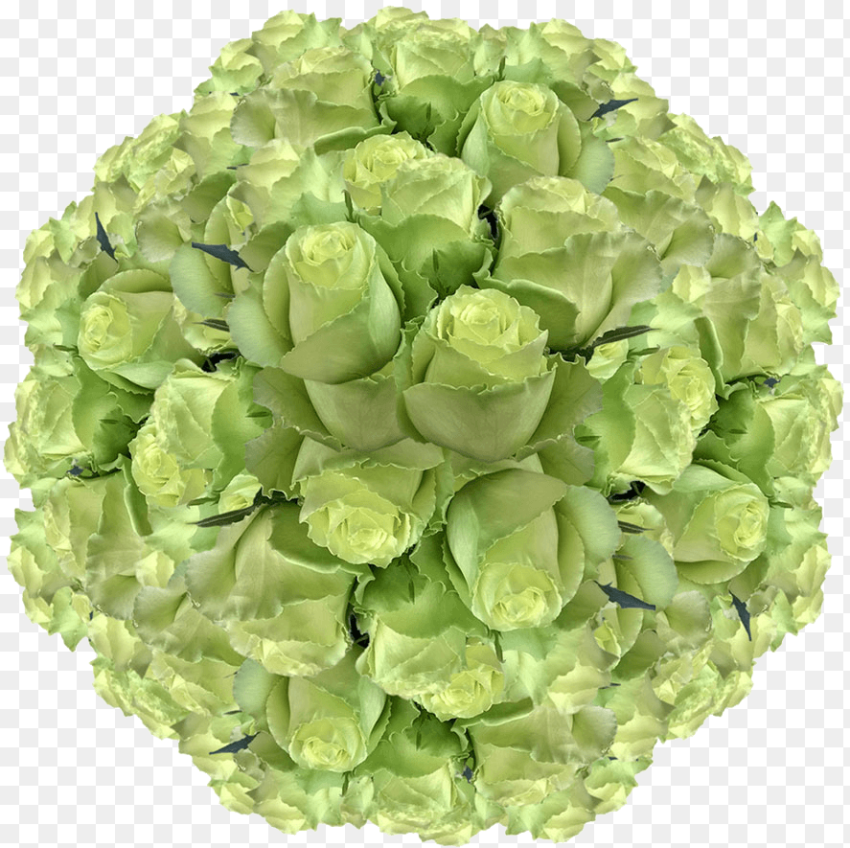 Fresh Solid Green Roses for Sale Artificial Flower