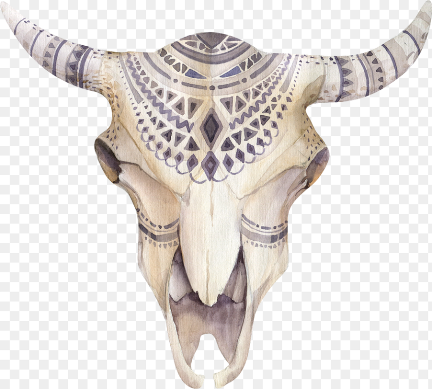 Transparent Animal Skull Png Boho Skull Clipart Transparent