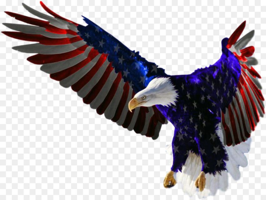 Features American Flag Eagle Clipped Rev Eagle Flying