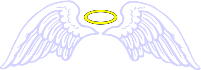 cartoon angel wings png, alas de angel, ангельские крылья, Engelsflügel png, ailes d'ange, ali d'angelo png HD